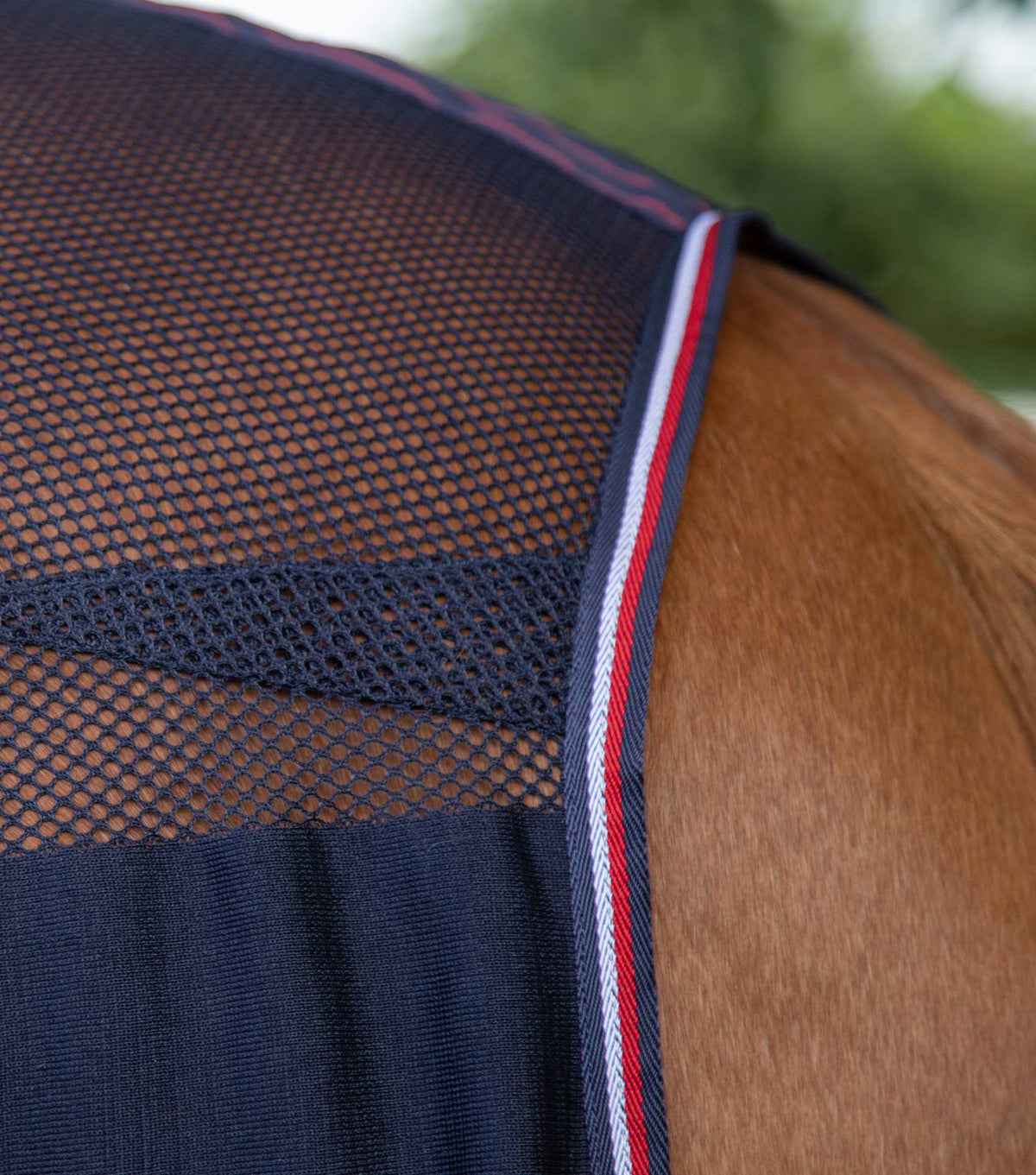 Arisca chemise séchante légère