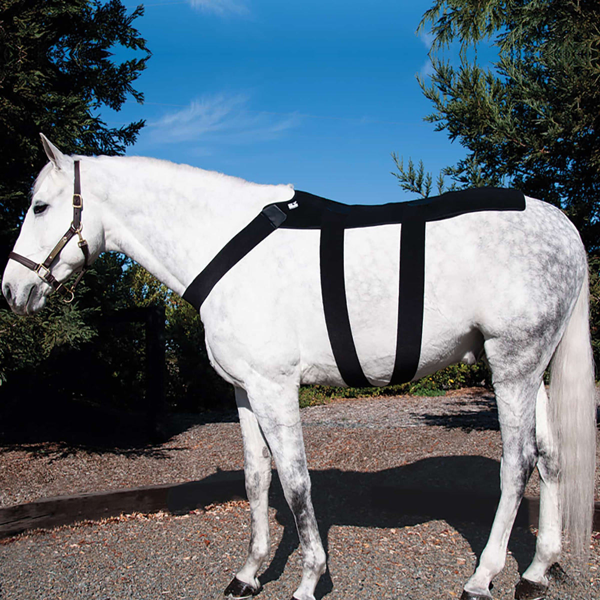 Ice Horse Back Blanket, 10 inserts froids inclus, couverture de cryothérapie ciblée pour le dos, le garrot et la zone sacro-iliaque
