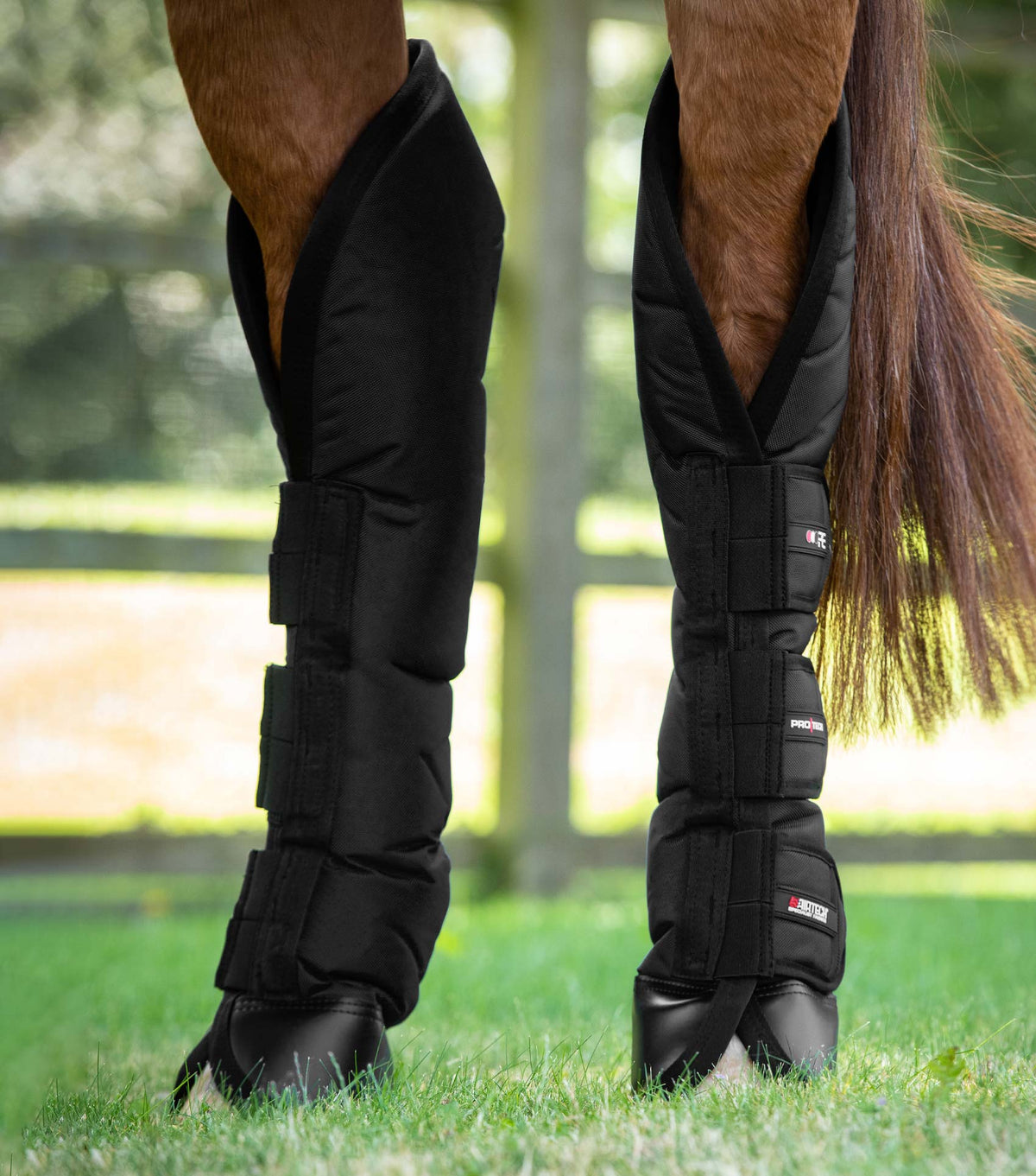 Ballistic Knee Pro-Tech Guêtres de transport