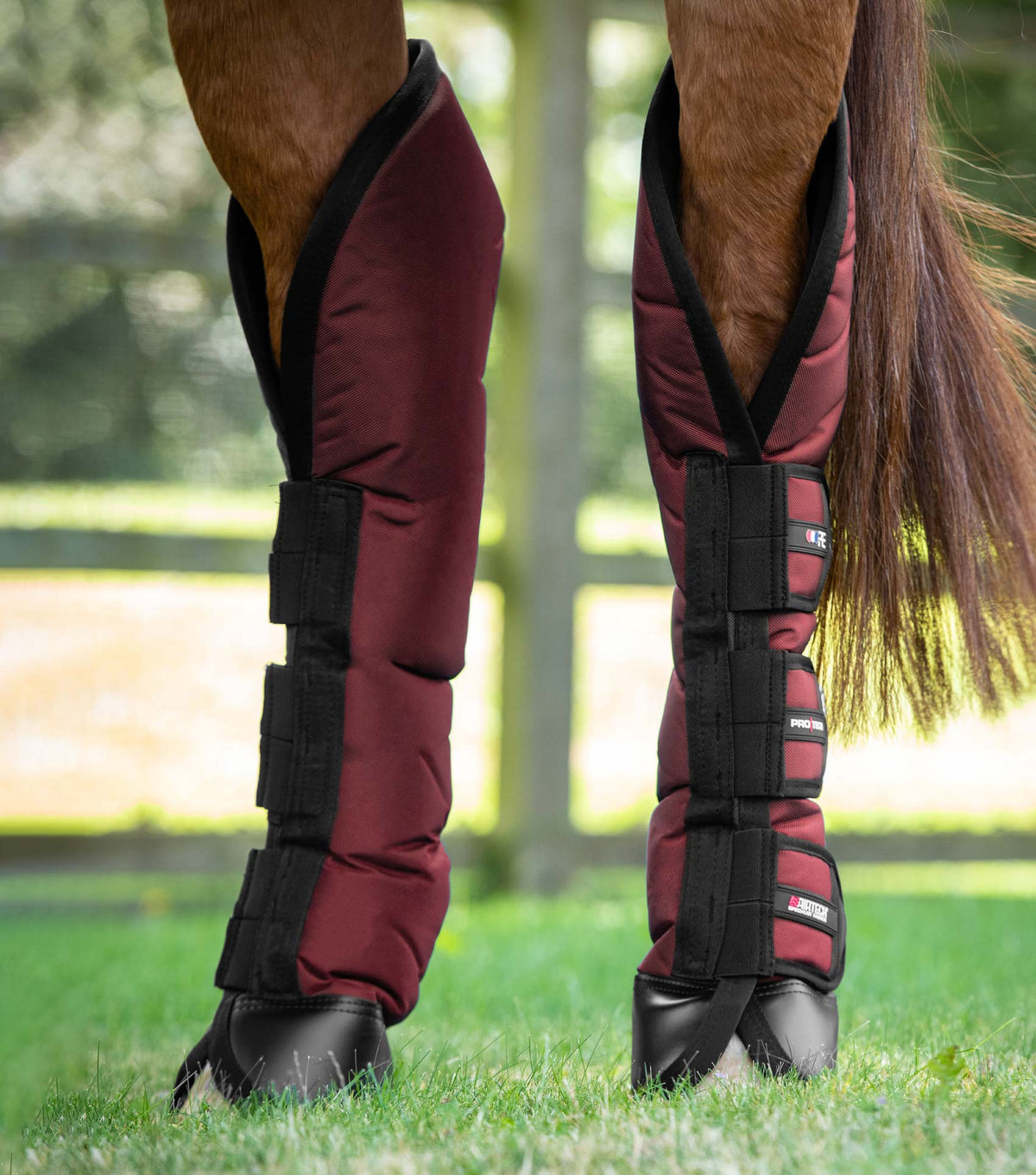 Ballistic Knee Pro-Tech Guêtres de transport