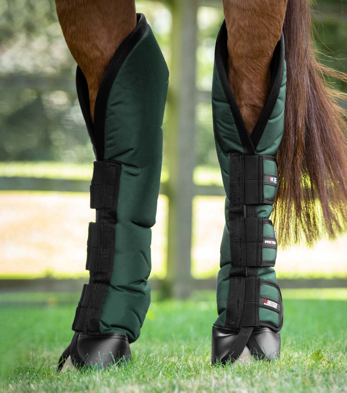 Ballistic Knee Pro-Tech Guêtres de transport
