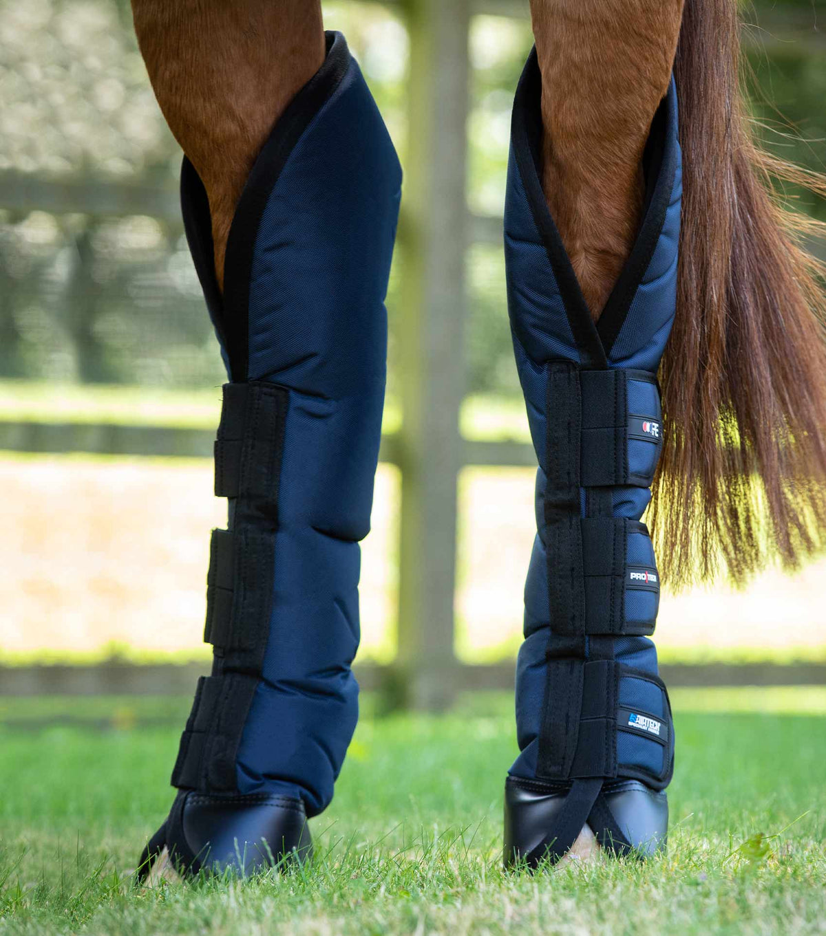 Ballistic Knee Pro-Tech Guêtres de transport