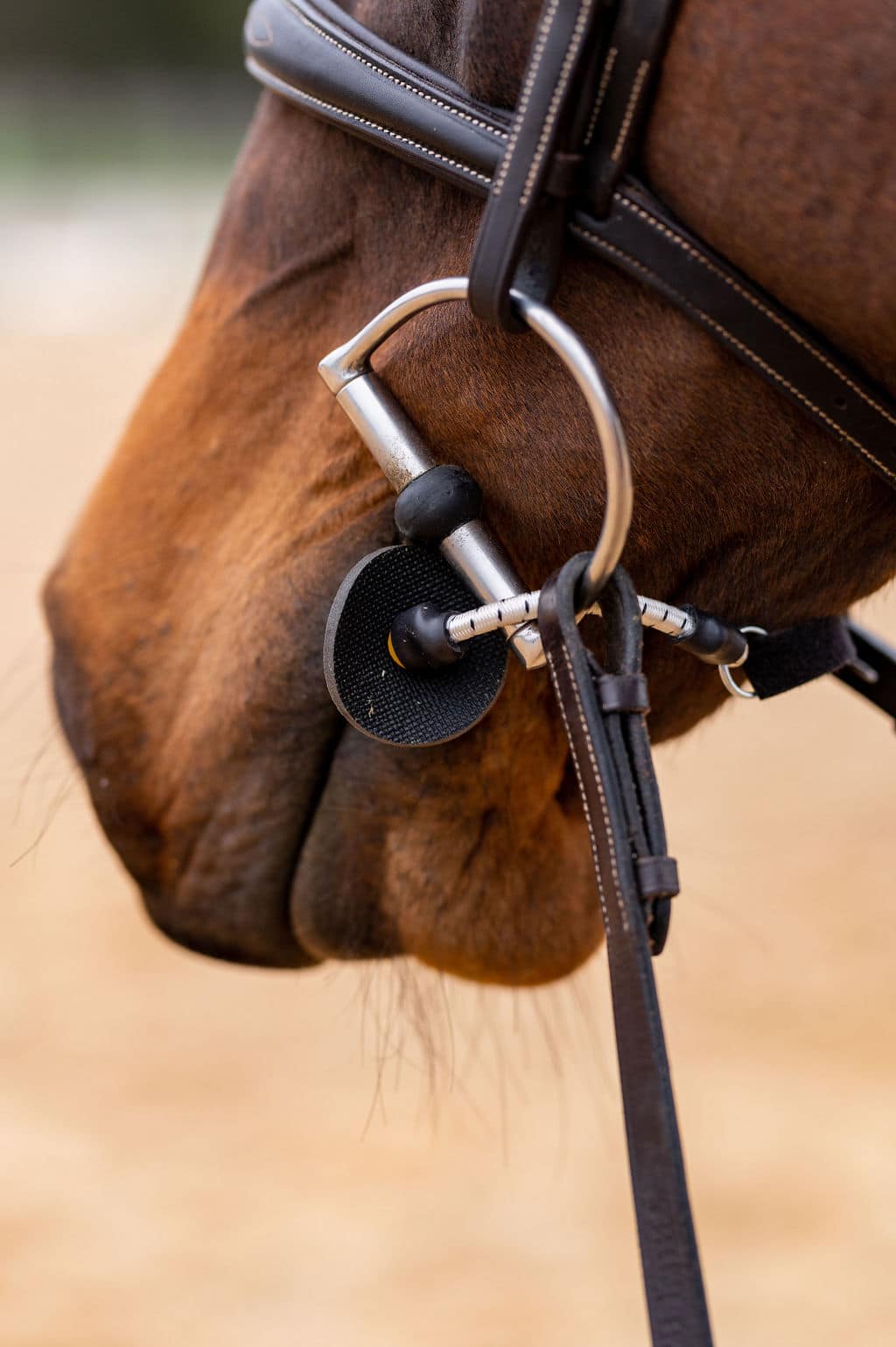 ThinLine Busy Buddy, apaise les chevaux sans médicaments, réduit l'agitation et les morsures, idéal pour la tonte et les soins du maréchal-ferrant ou du vétérinaire