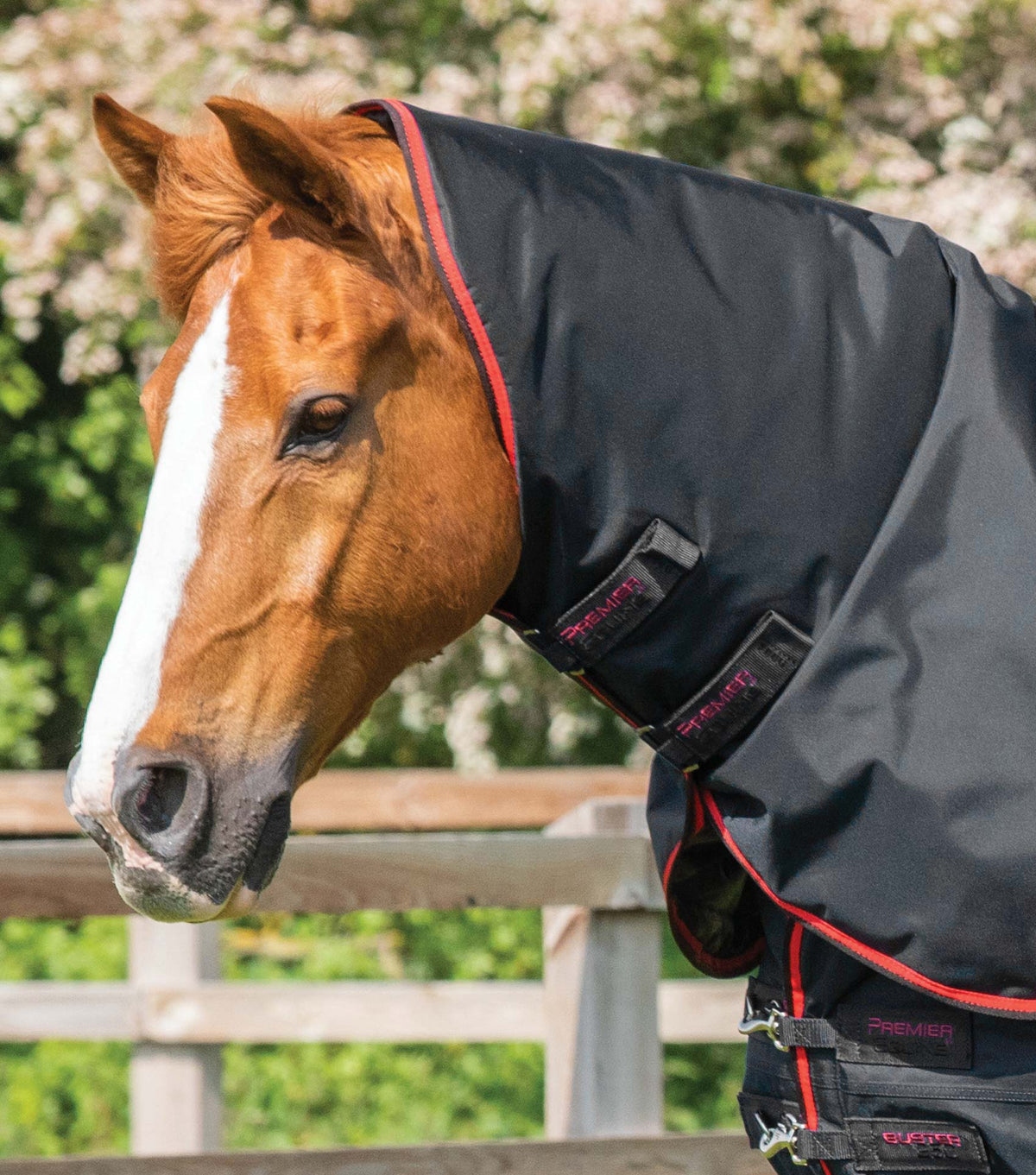 Buster 250g – couverture d’extérieur avec couvre-cou classique