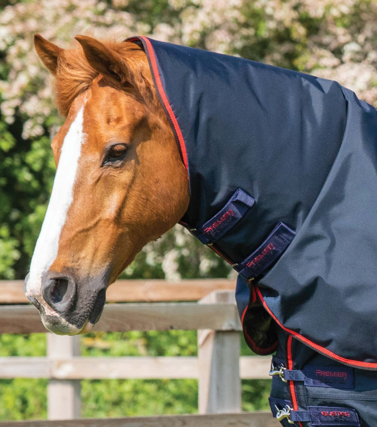 Buster 250g – couverture d’extérieur avec couvre-cou classique