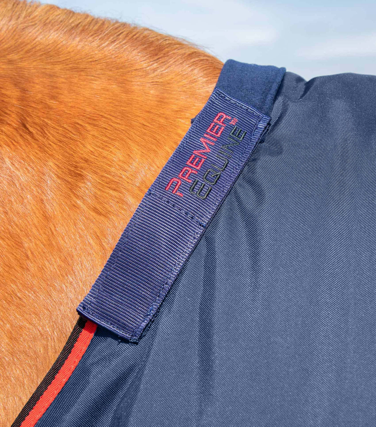 Buster 250g – couverture d’extérieur avec couvre-cou classique