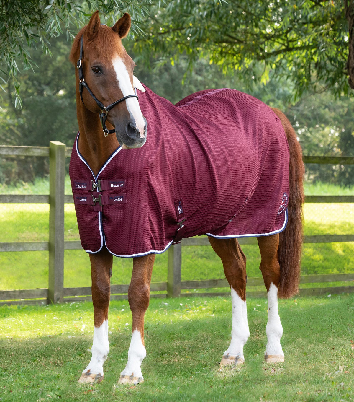 Buster Waffle – chemise séchante