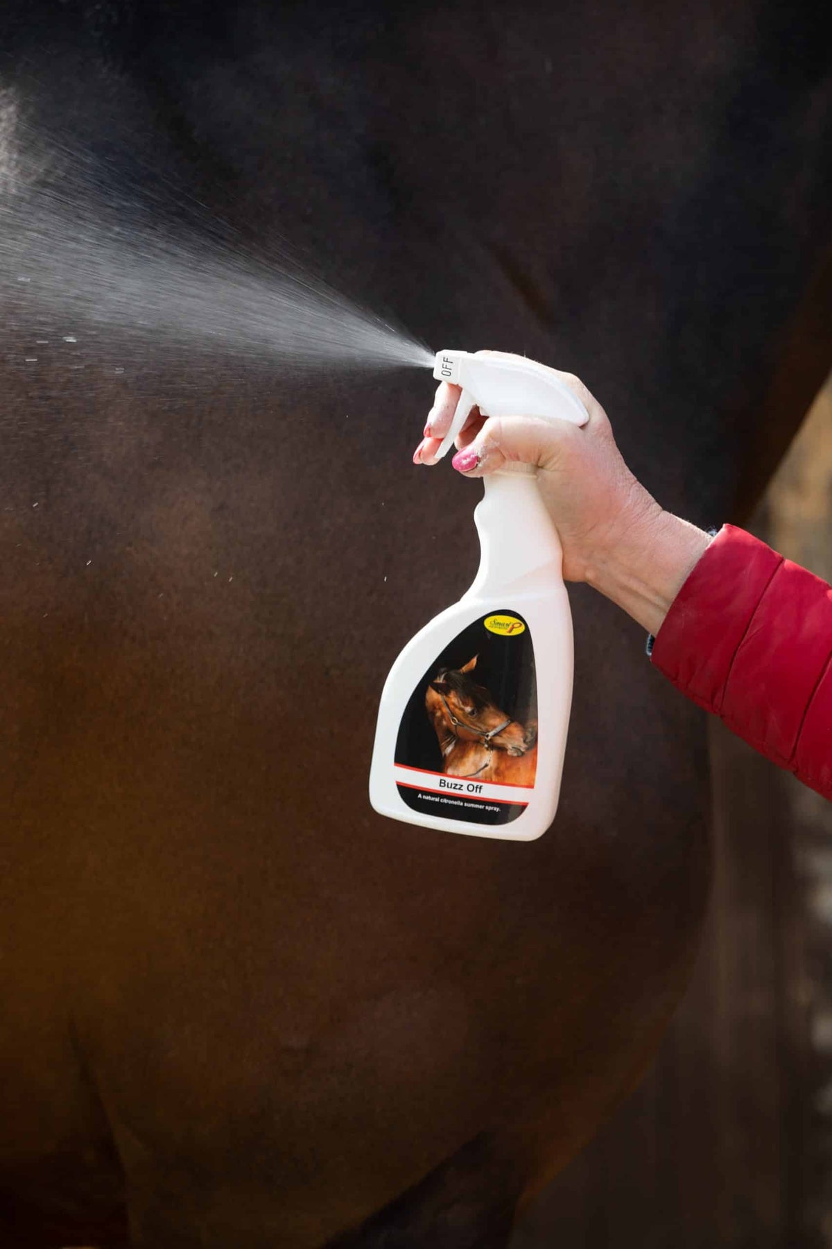 Smart Grooming Buzz off, spray estival, aide à protéger des mouches, des moucherons et des insectes