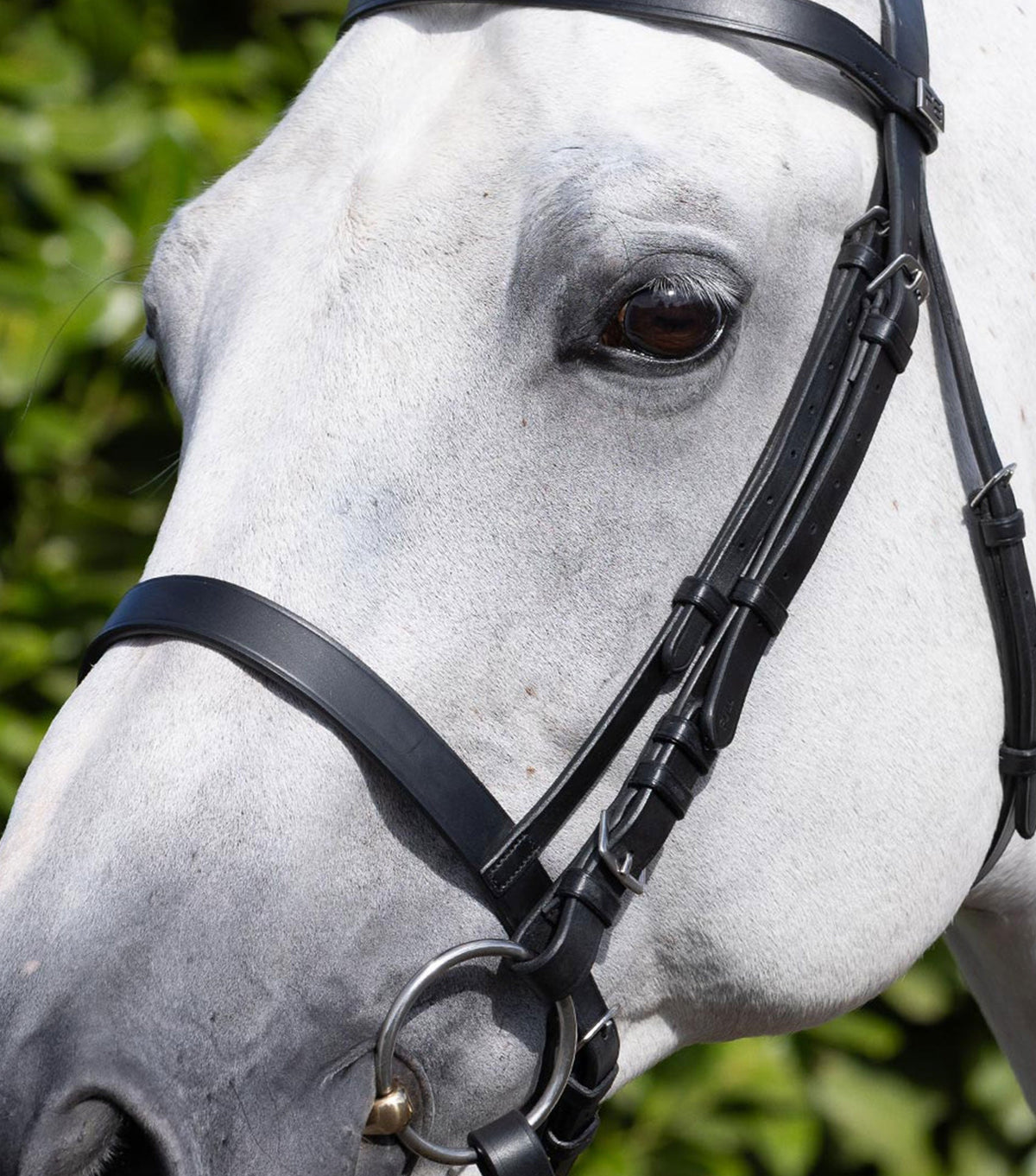 Cavesson Muserolle pour Bridon de course