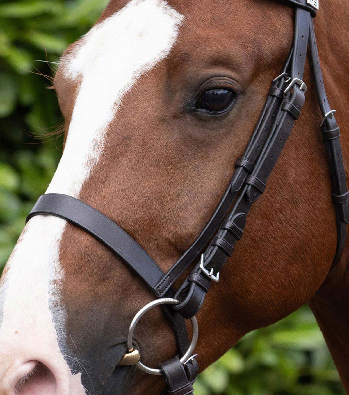 Cavesson Muserolle pour Bridon de course