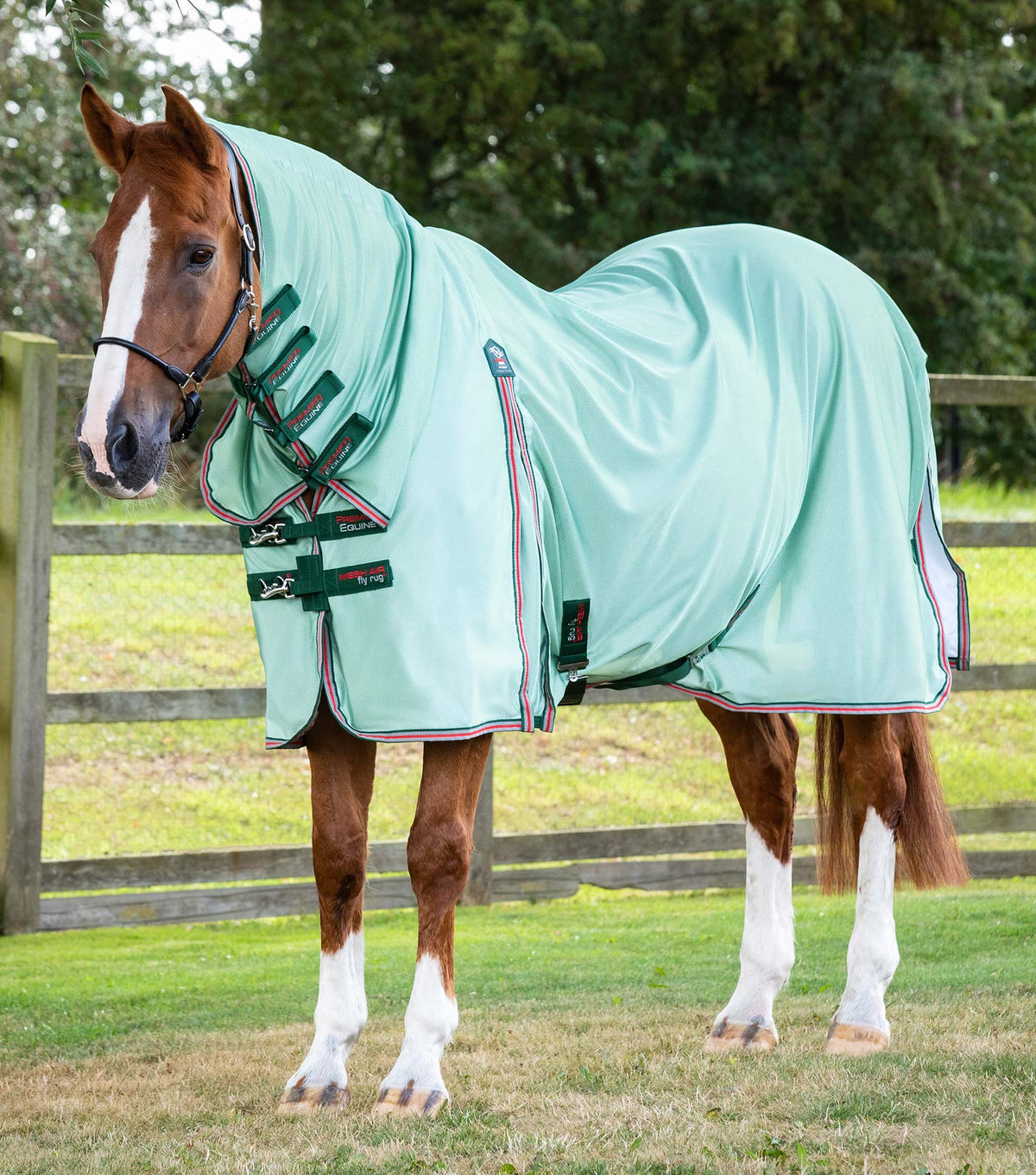 Combo Mesh Air couverture anti-mouches avec Surcingles Green