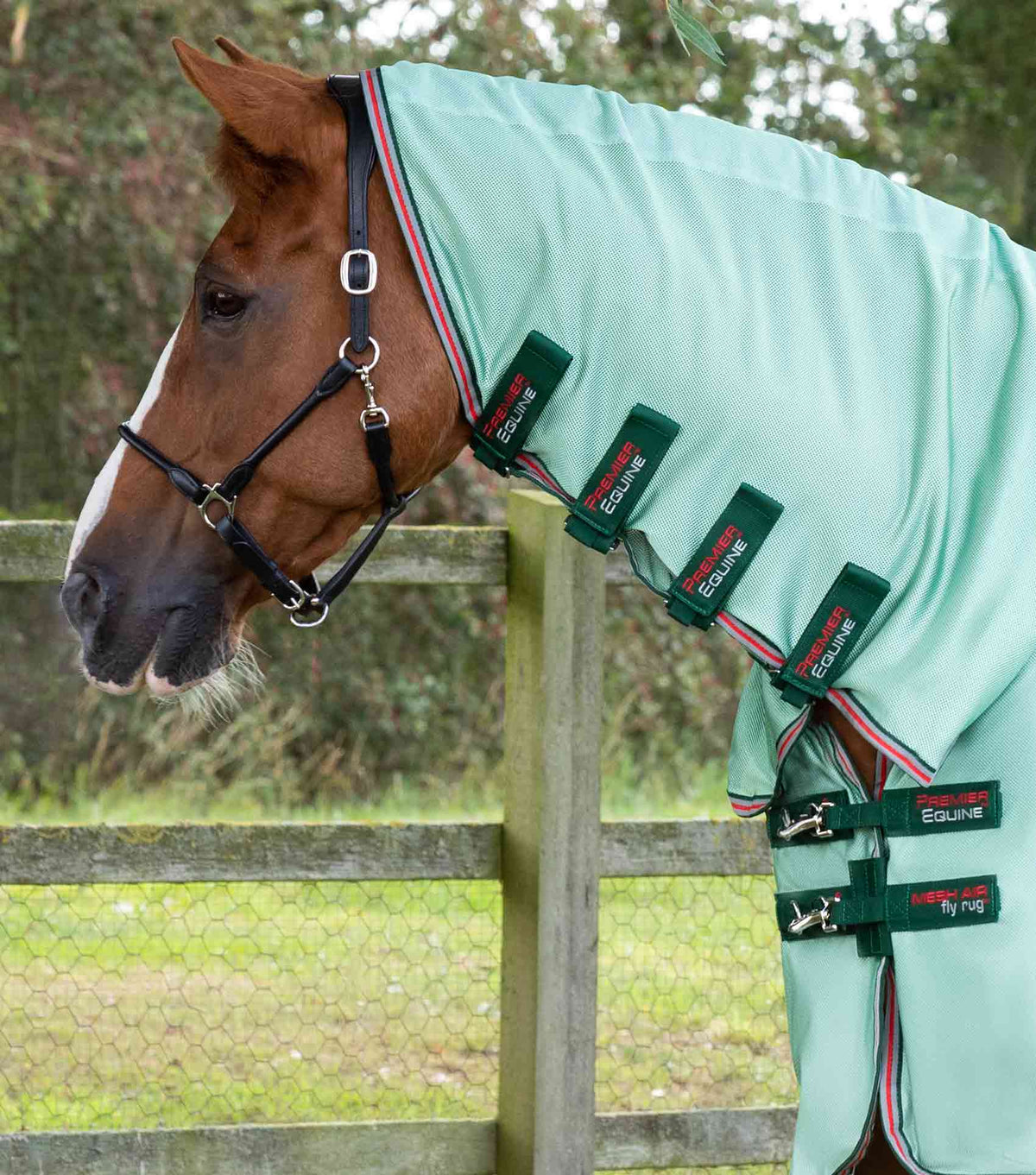 Combo Mesh Air couverture anti-mouches avec Surcingles Green