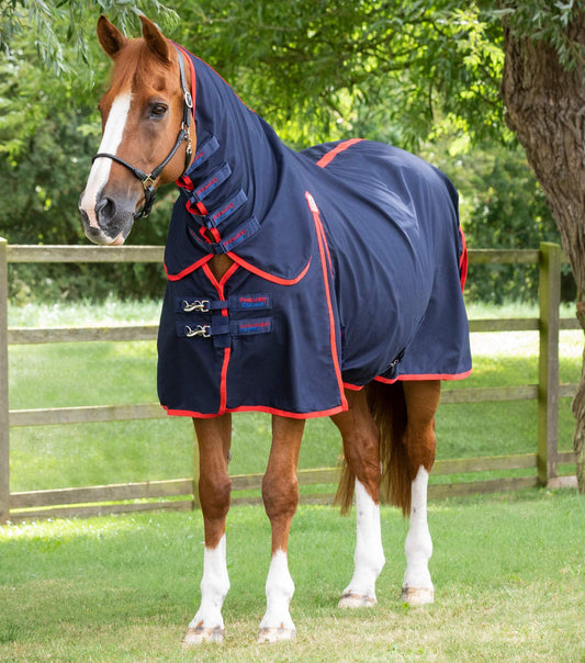 Combo Horse Stable Sheet