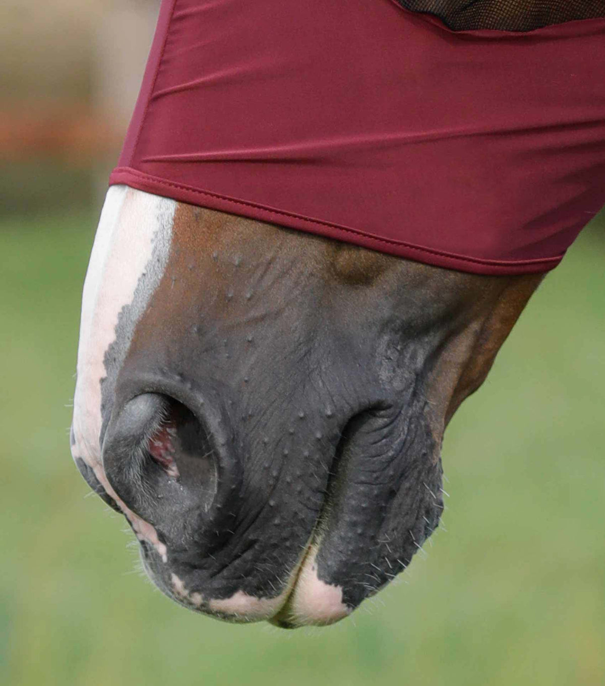 Comfort Tech Lycra Masque anti-mouches