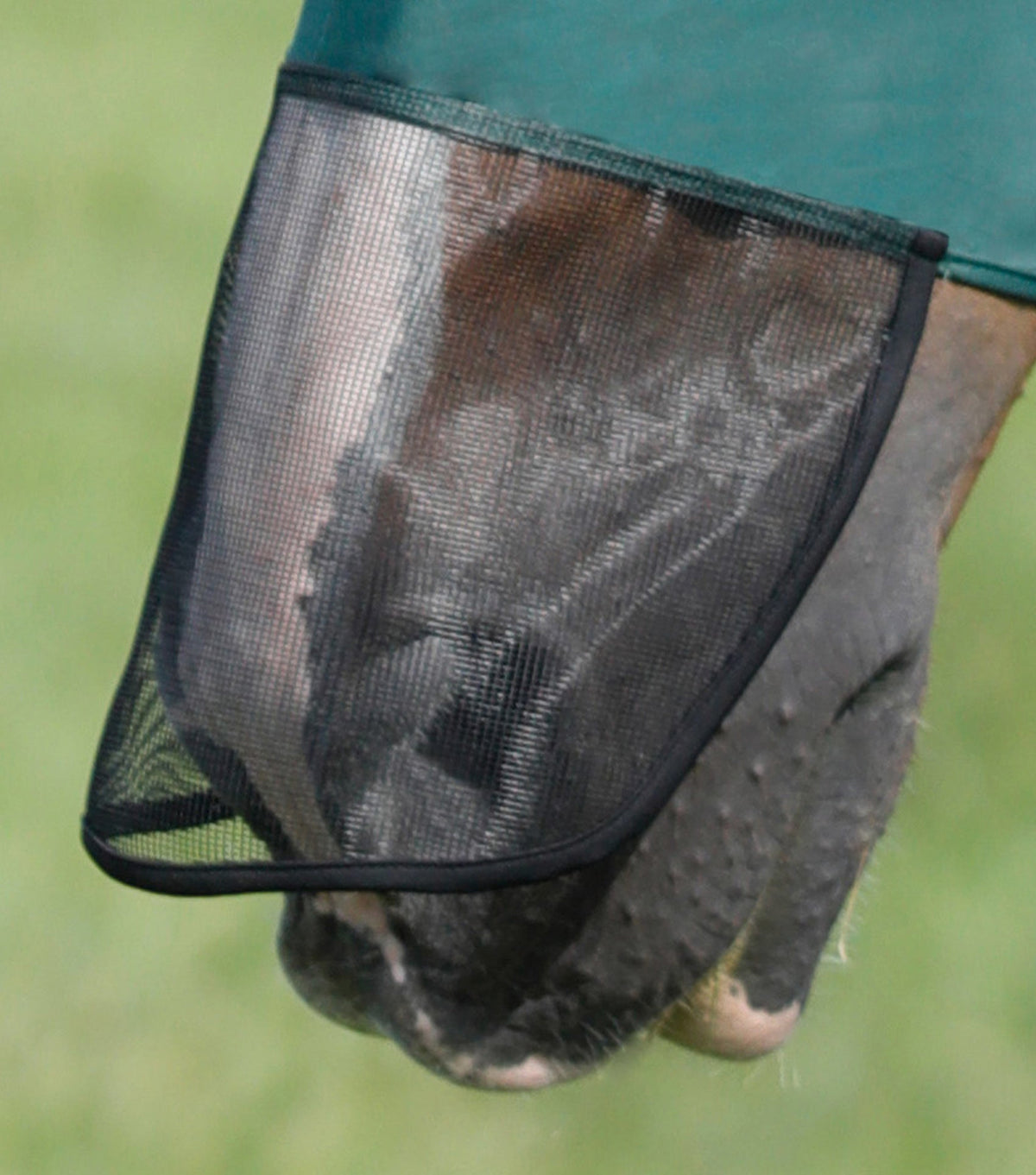 Comfort Tech Lycra Masque anti-mouches Xtra