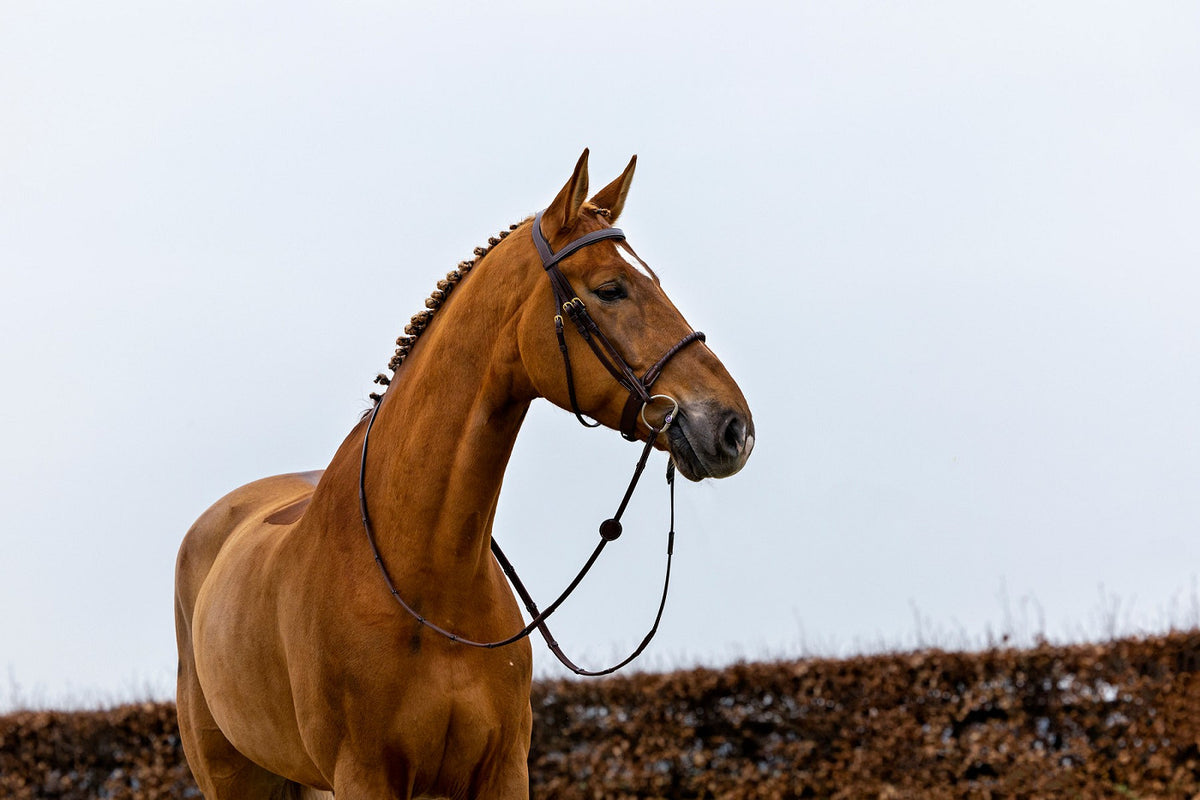 TRUST Dublin Rope noseband bridle – Marron/Or