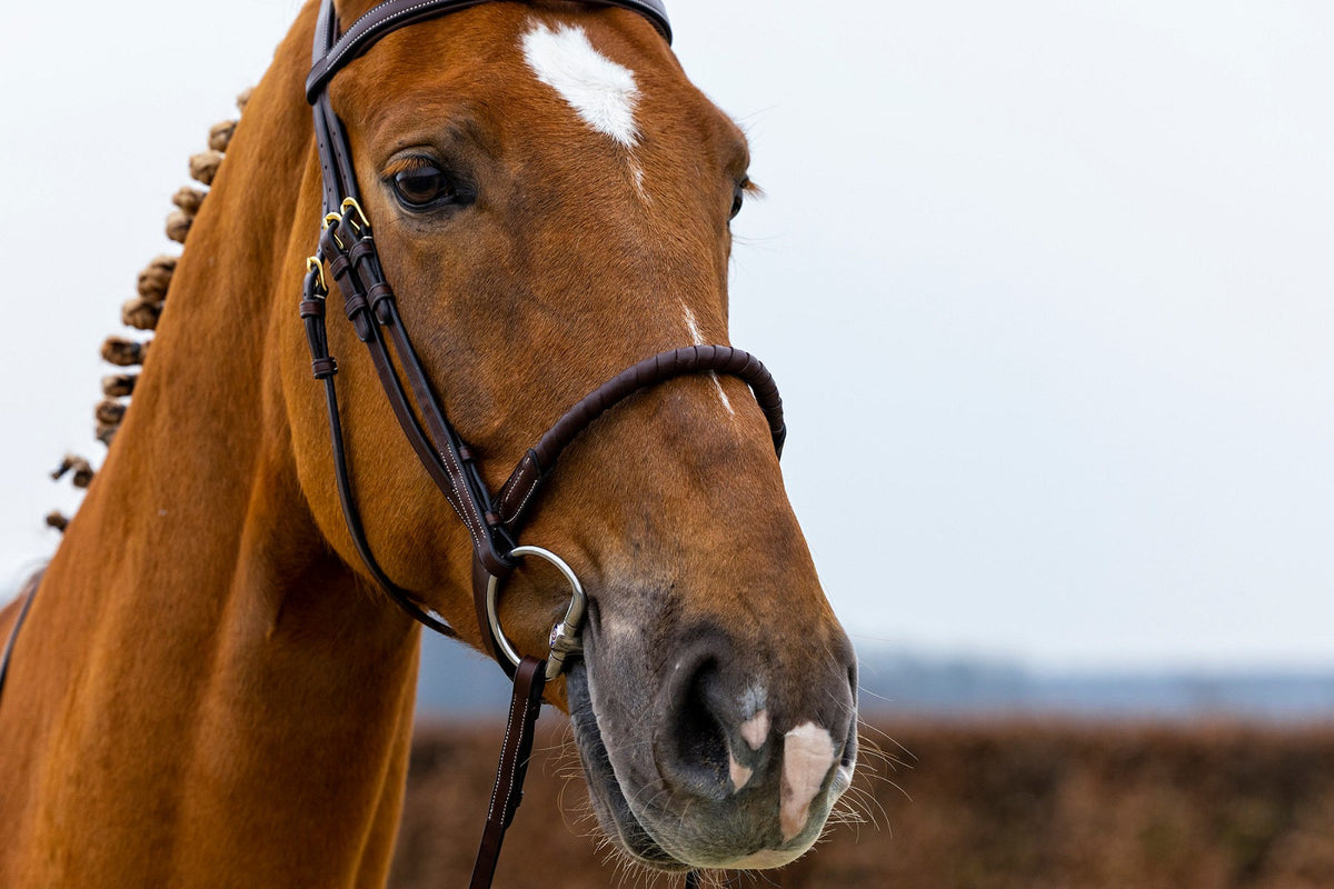 TRUST Dublin Rope noseband bridle