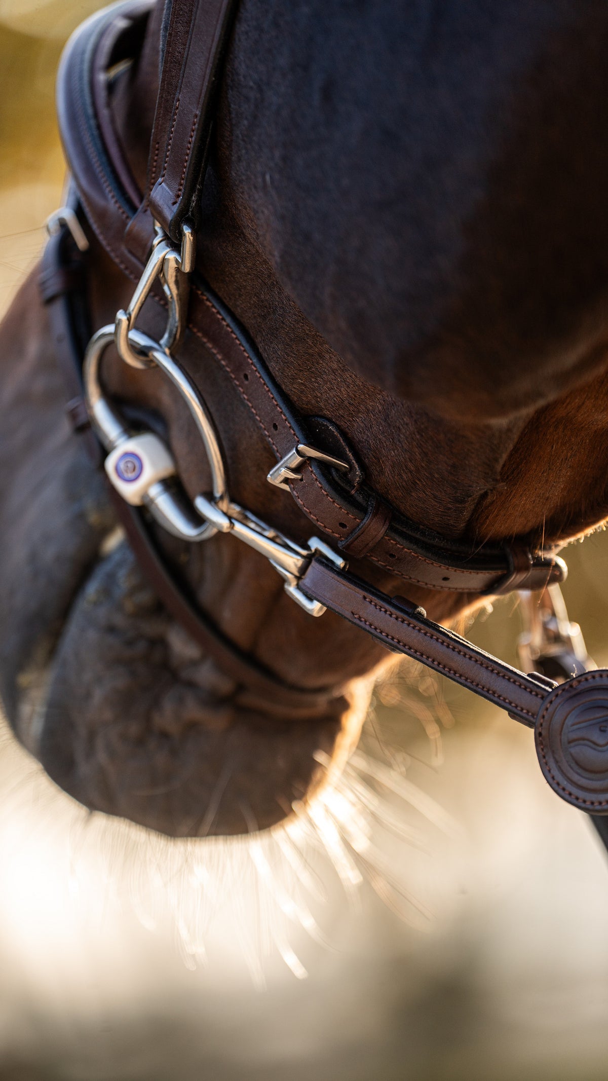 TRUST Hamburg Training bridle