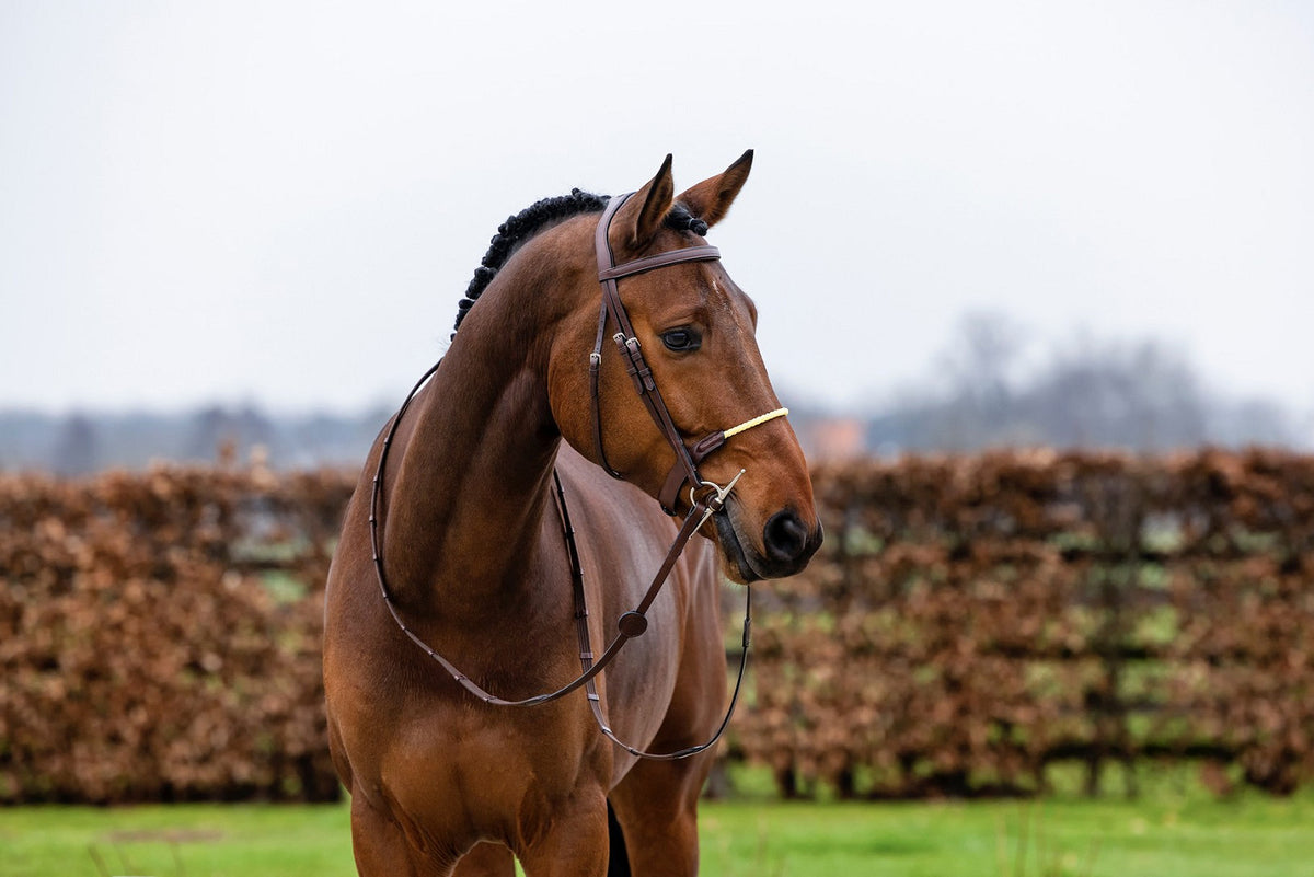 TRUST St. Gallen Rope noseb. Bridle
