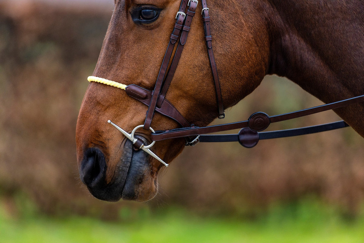 TRUST St. Gallen Rope noseb. Bridle