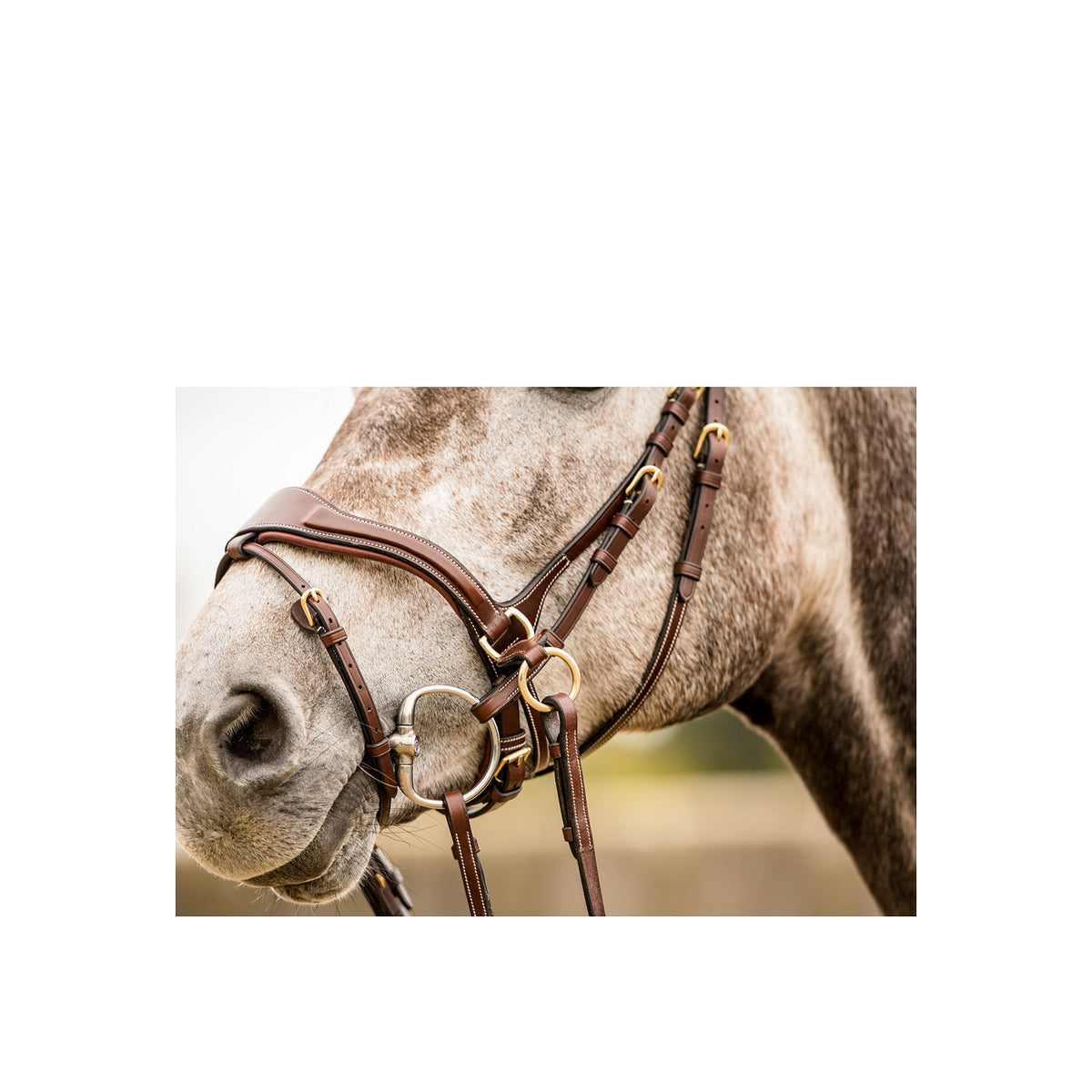 TRUST Falsterbo T-motion bridle