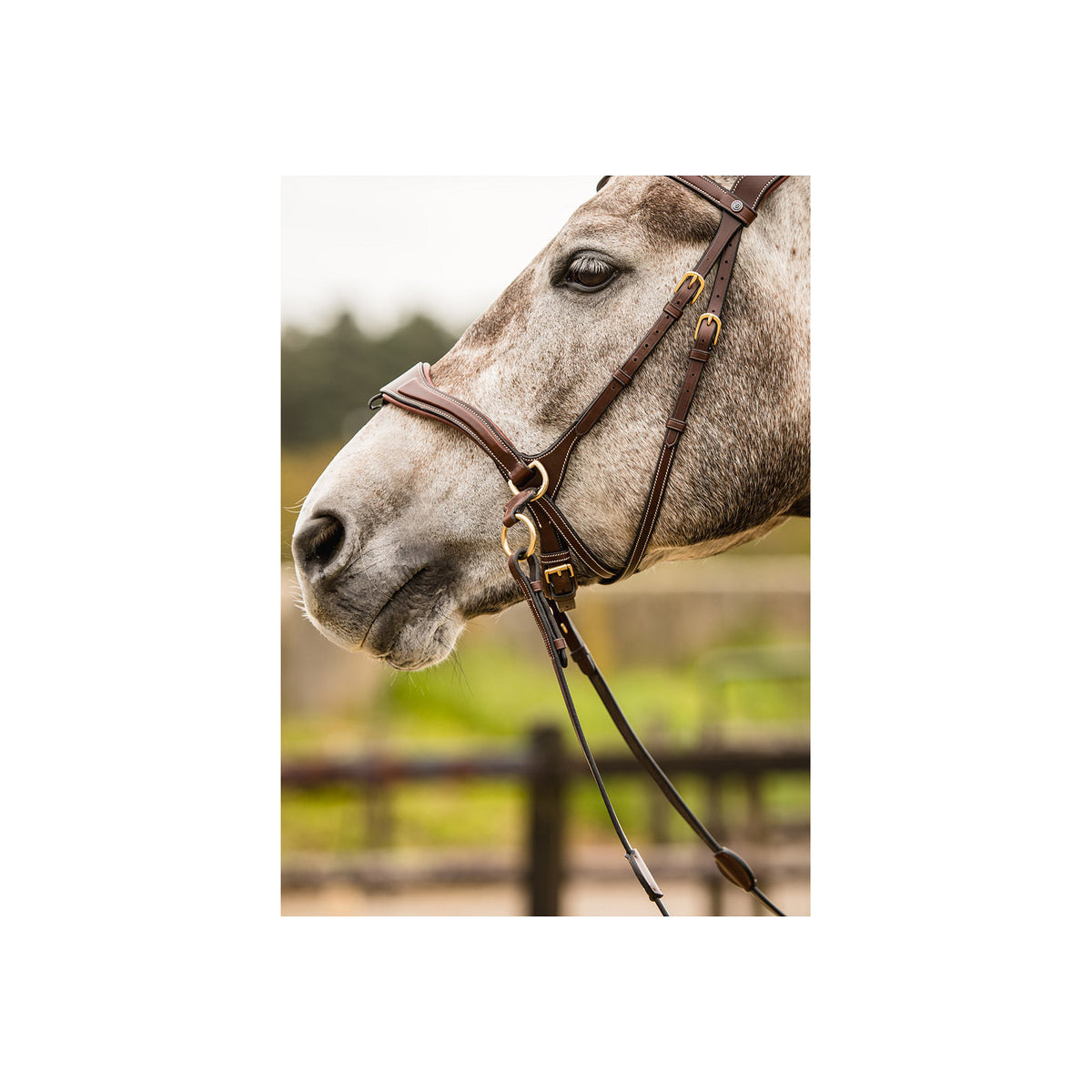 TRUST Falsterbo T-motion bridle