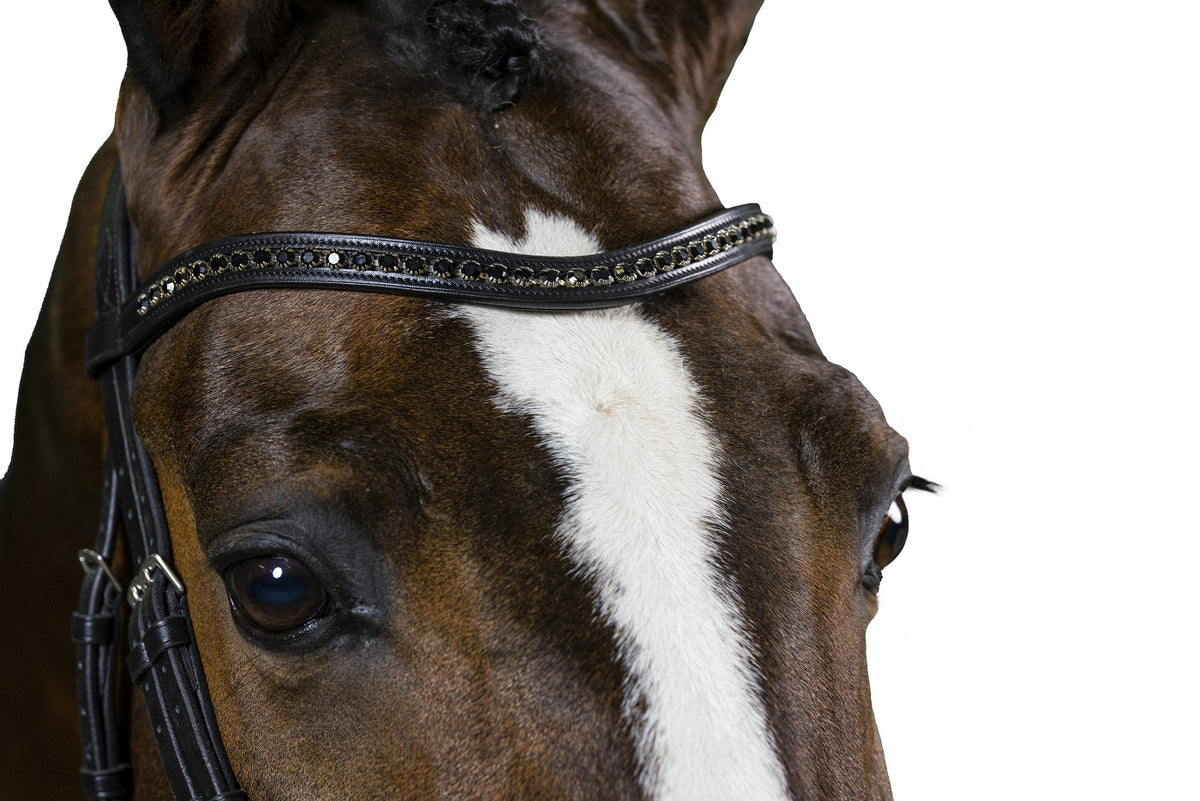 TRUST Browband black diamants