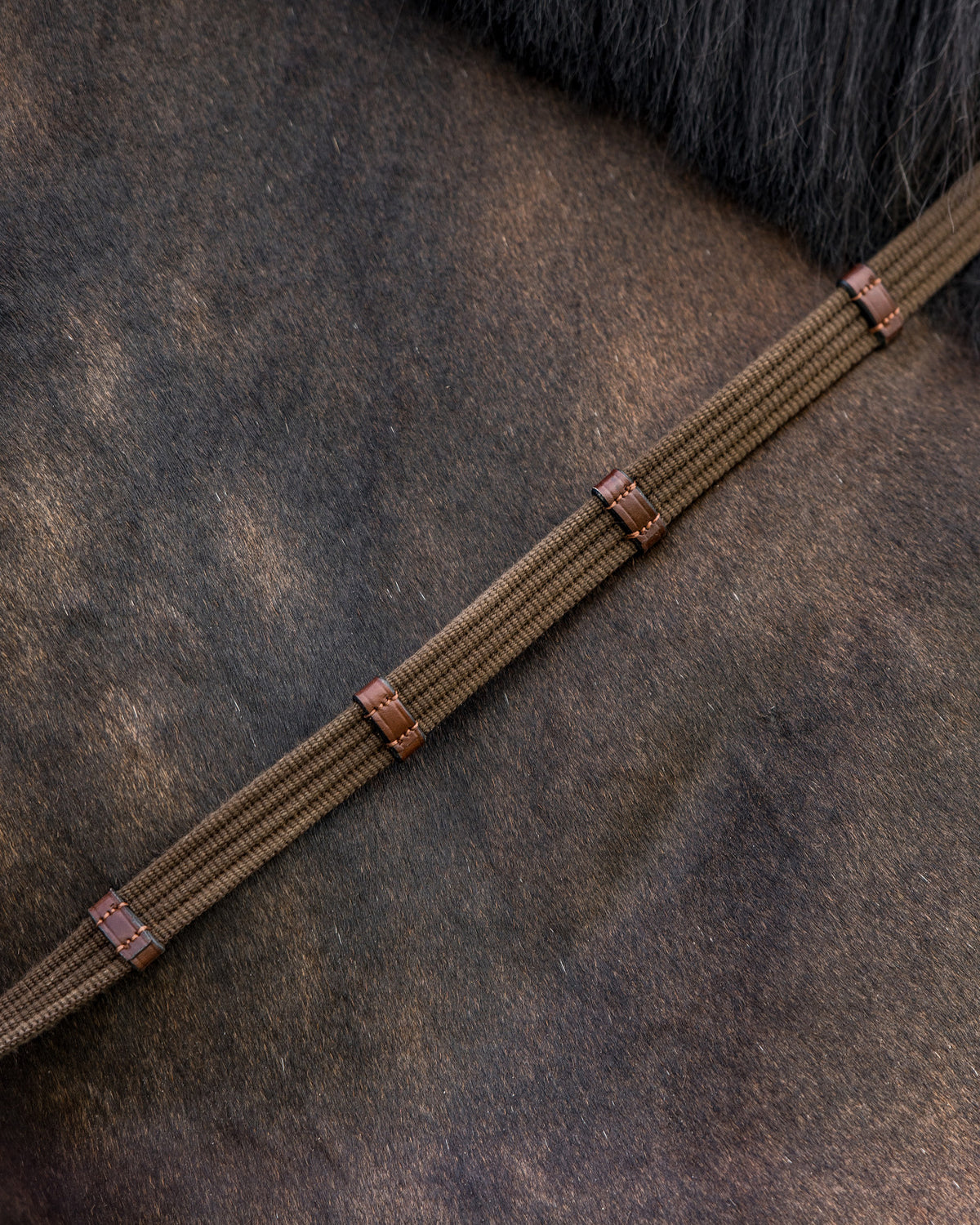 TRUST Deauville 5/8inch Web reins 9 stops – Marron/Or