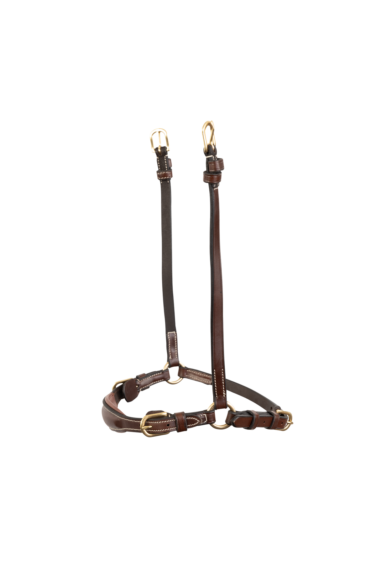 TRUST Noseband Barcelona – Marron/Or