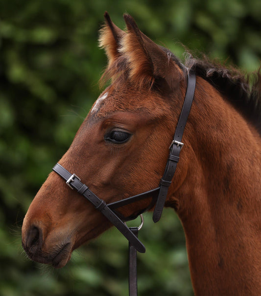 Foal Slip 1/2"
