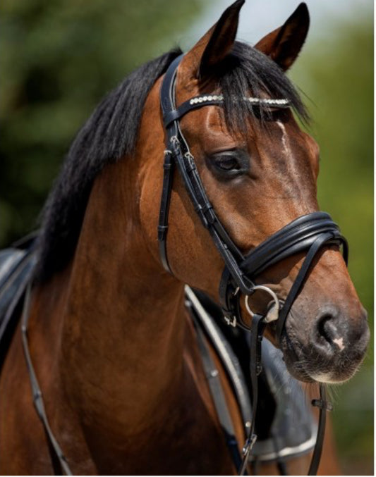 HB - bridon very soft