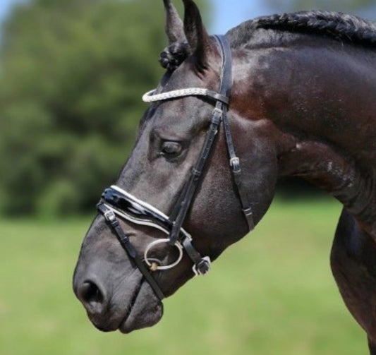 HB - bridon Glamerdale