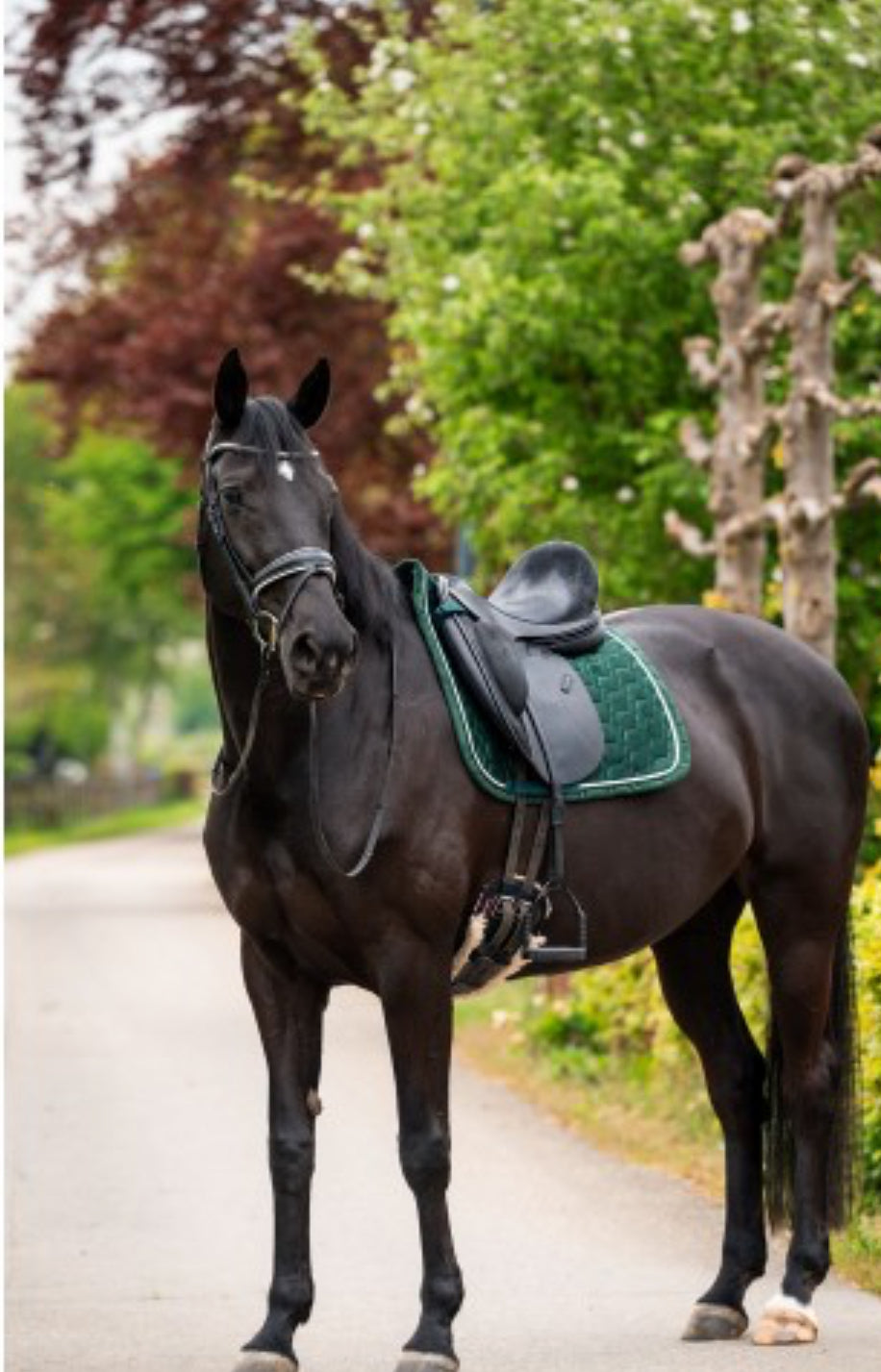 HB -tapis spécial velvet - 2 coloris