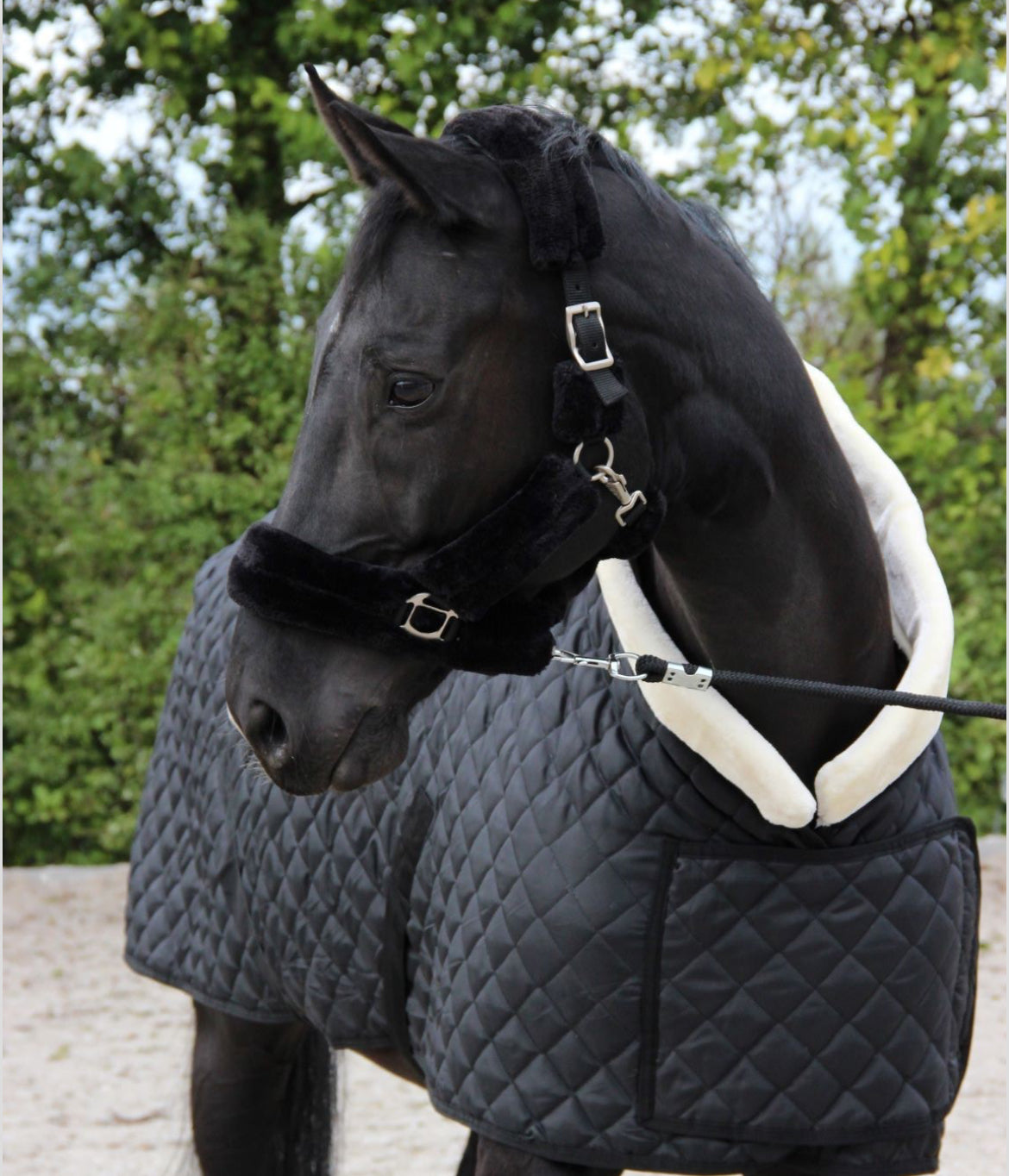 HB - Couverture Désir 160gr -2 coloris