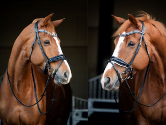 HB - bridon Snowflake  - 2 coloris