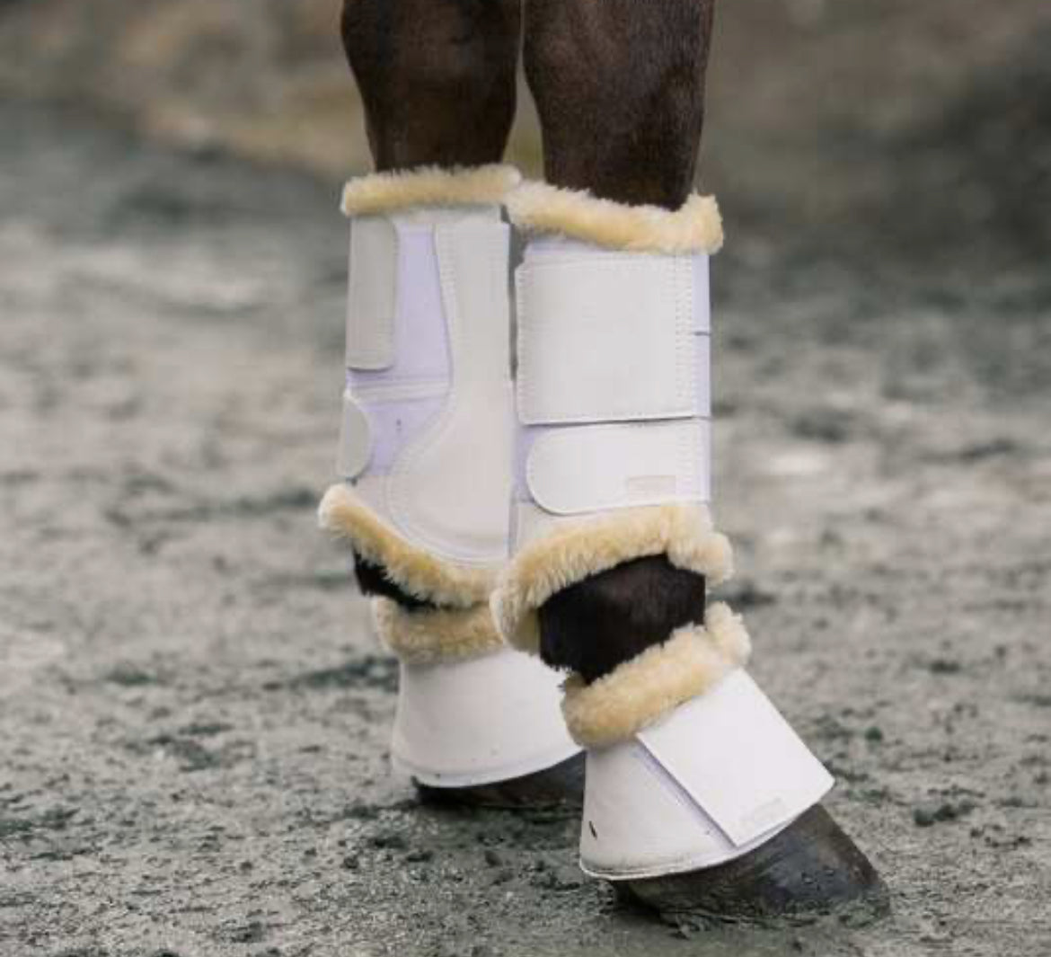 Horze - guêtres Signature - 2 coloris