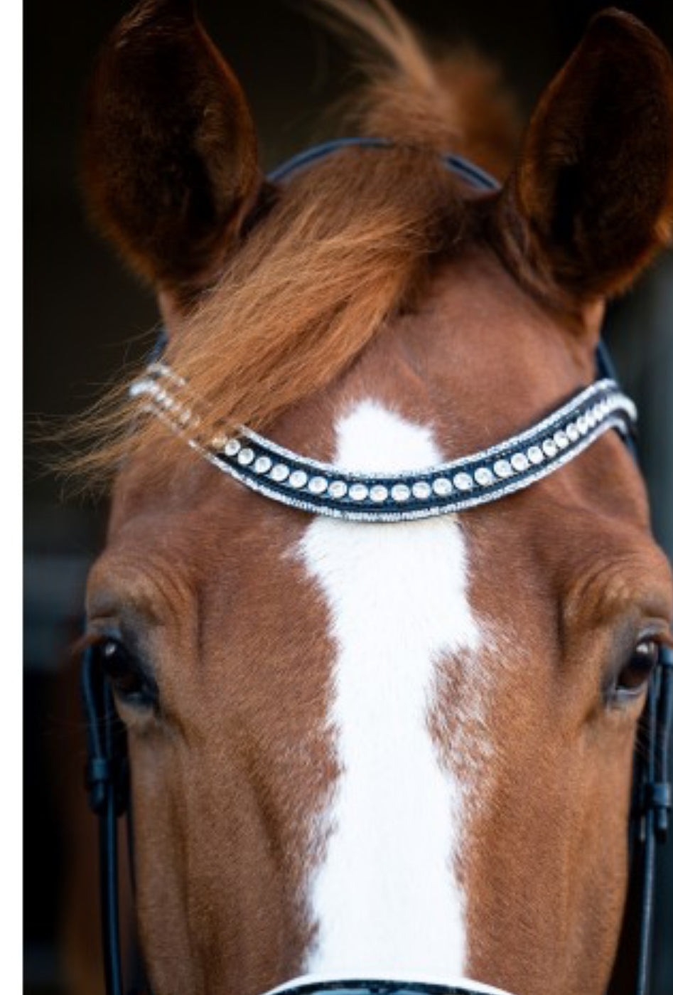 HB - bridon Snowflake  - 2 coloris