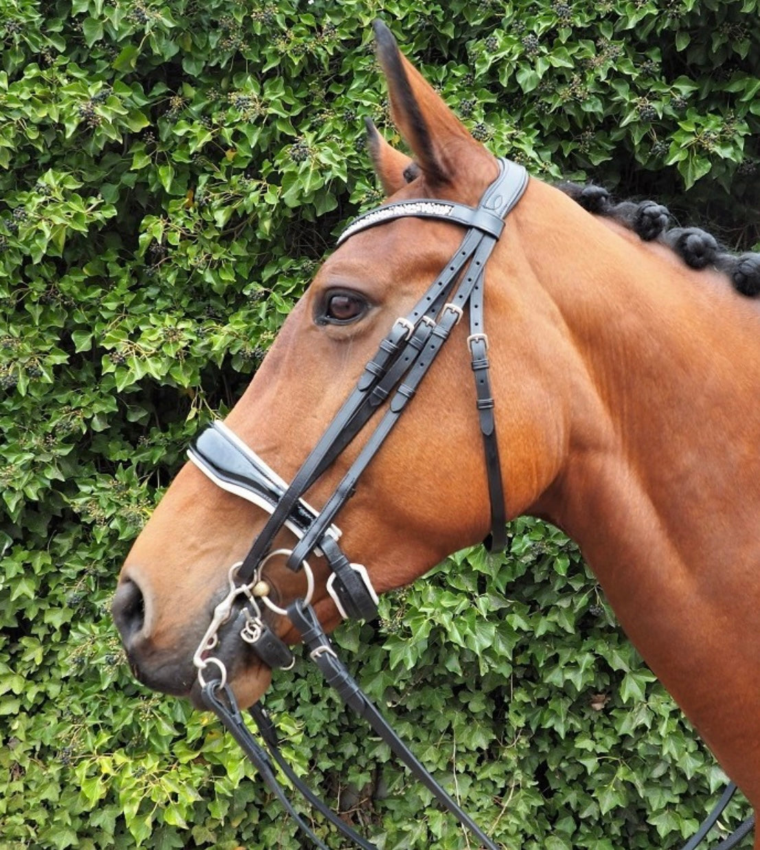 HB - bride Great pleasure verni - 2 coloris