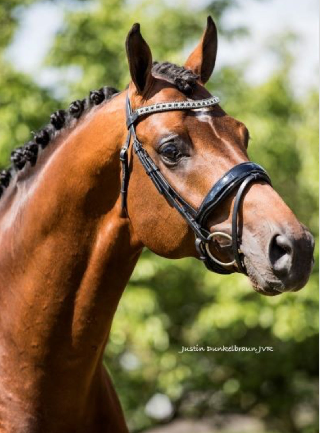 HB - bridon Jan van Westerhuis