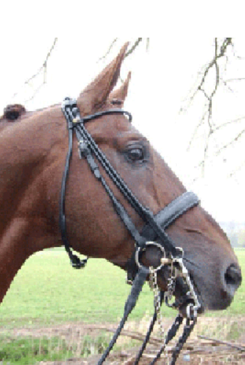 HB - bride Monaco cuir rond - 2 coloris