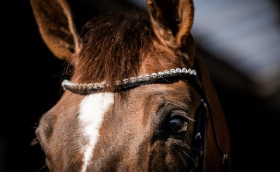 HB - bridon Spécial Guy - 2 coloris