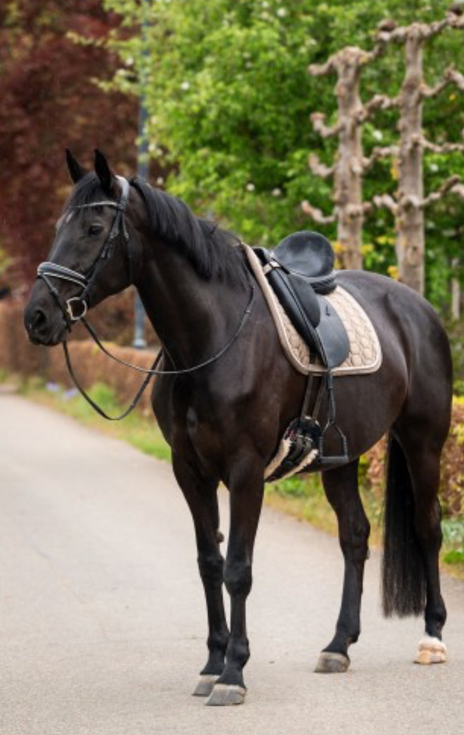 HB -tapis spécial velvet - 2 coloris