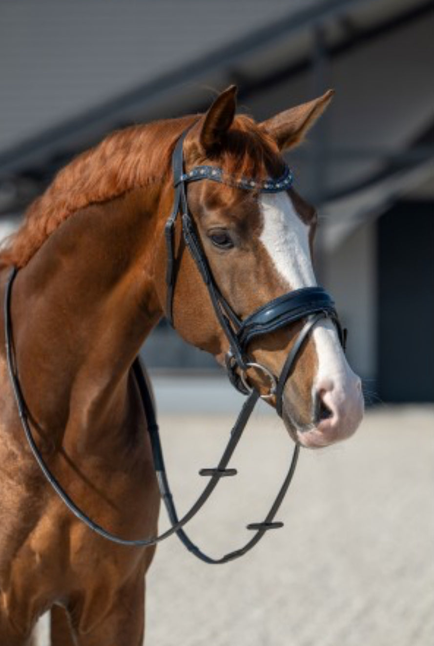 HB - bridon it so special - 4 coloris