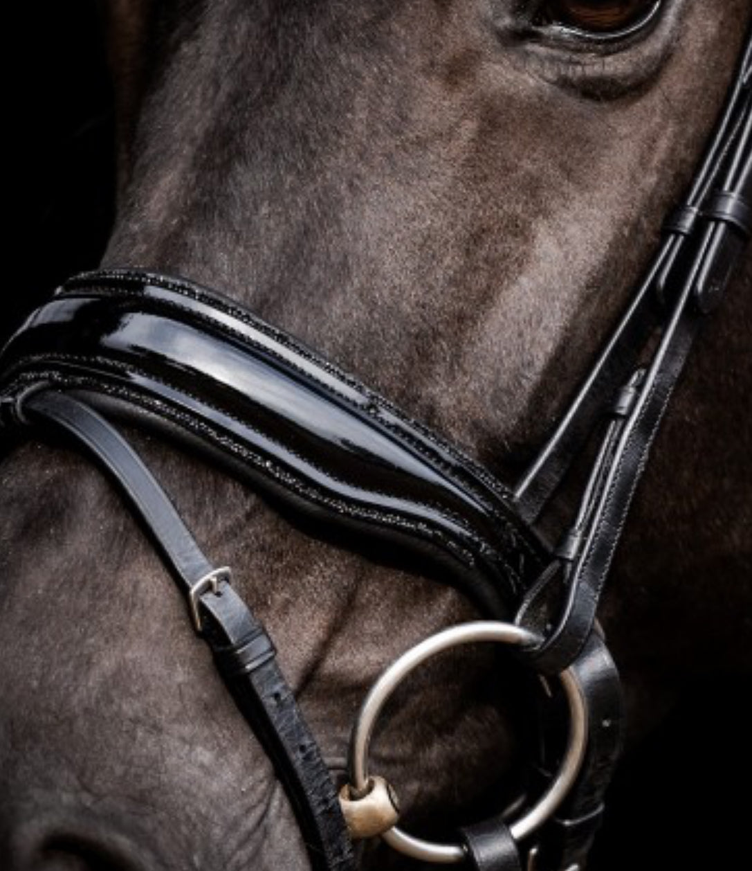 HB - muserolle bridon - strass noir