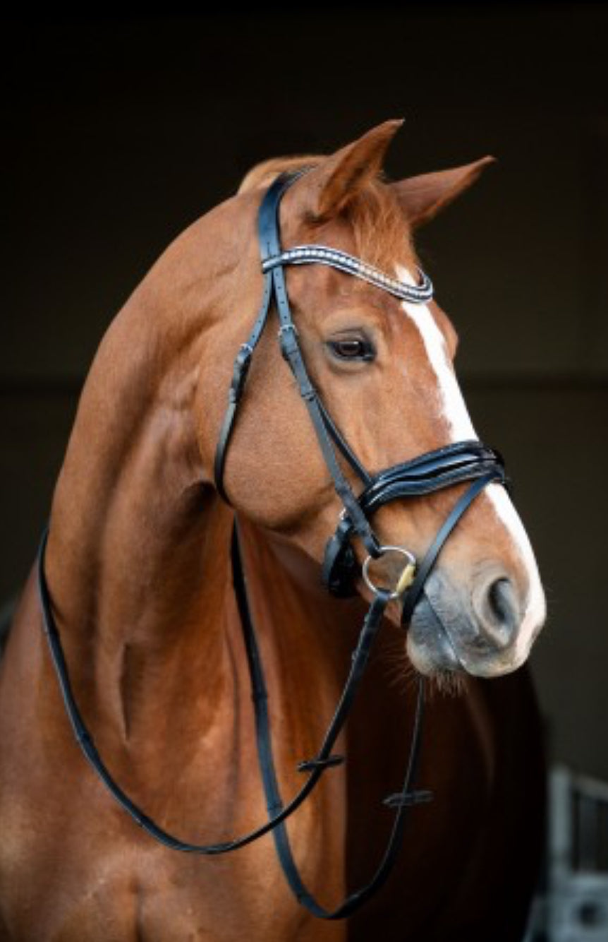 HB - bridon Snowflake  - 2 coloris