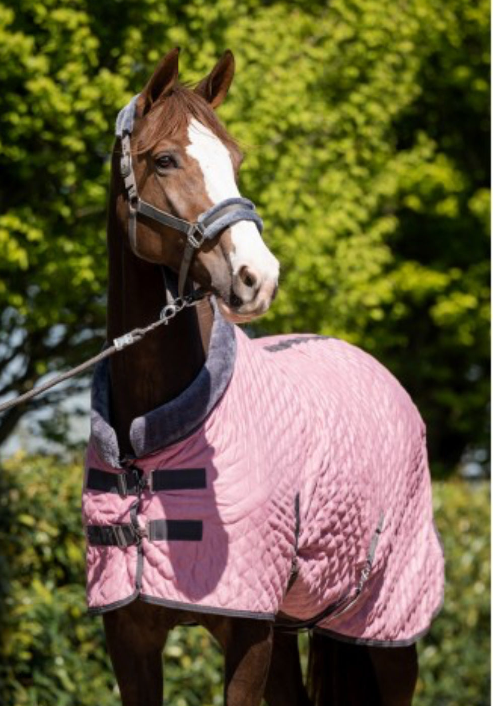 HB - Couverture sunset -2 coloris