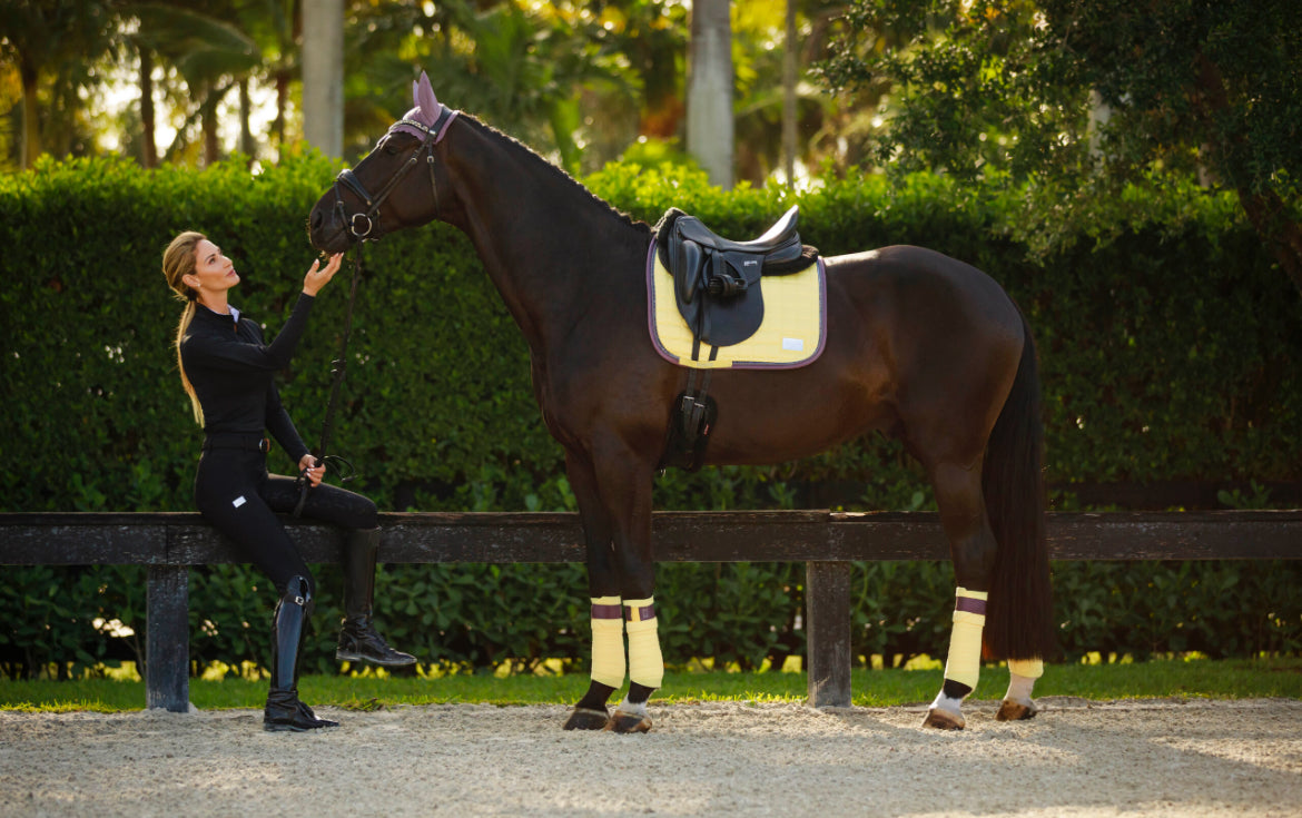 Equito - tapis dressage Limoncello