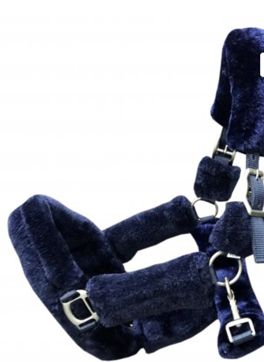 HB - licol Teddy - 5 coloris