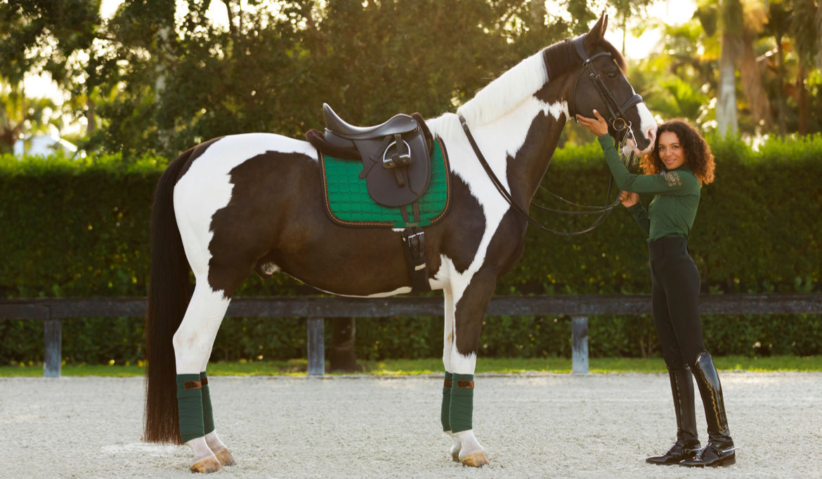 Equito - tapis dressage Evergreen bronze