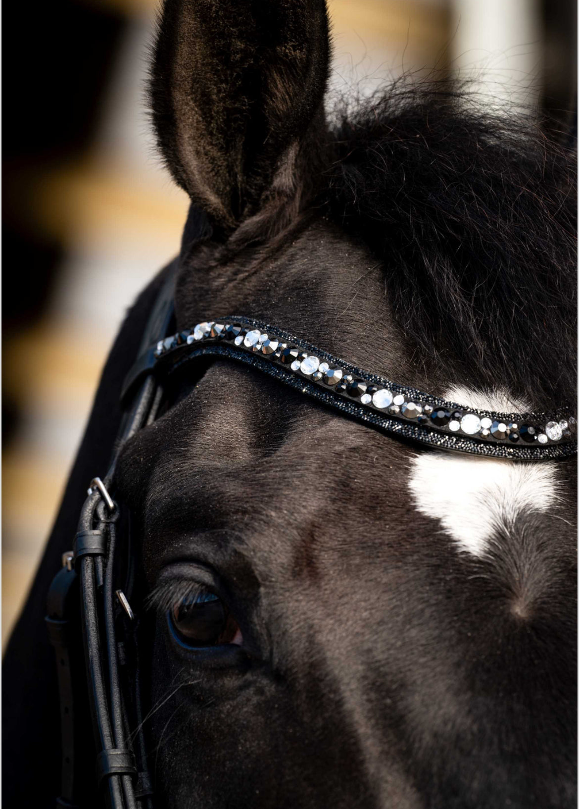 HB - bridon Dark Eagle